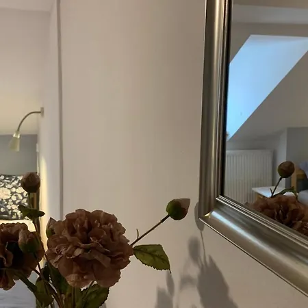 Klinovec Apartament *